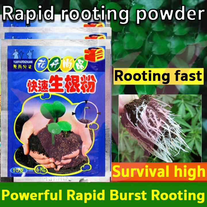 100pcs Rapid Rooting Powder Plants Rooting Hormone Plant Growth Powder All Types of Improve