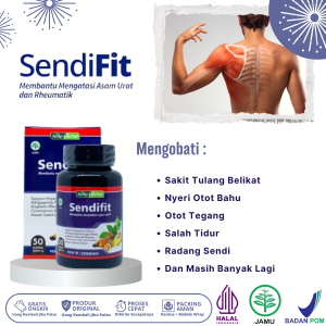Obat Sakit Tulang Belikat Obat Sakit Otot Bahu Obat Nyeri Lengan Obat Cedera Bahu Obat Otot Bahu Tegang Salah Tidur Obat Radang Sendi Bahu Dengan Sendifit