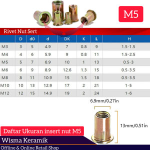 30 Pcs Rivet Nut mur rivet insert nut M3 M4 M5 M6 M8 M10 M12