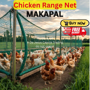 Free Rope Chicken Net Range Net for Chicken Lambat Outdoor Poultry Net Ranging Net