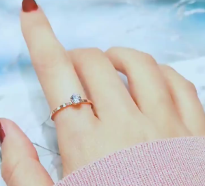 RAISS Simple Super Fine Six Prong Single Diamond Ring Rose Gold Titanium Steel Ring