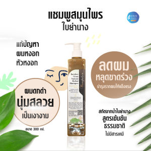 แชมพูใบย่านาง แท้ สมุนไพรธรรมชาติ ลดผมขาดหลุดร่วง ผมดกดำ สร้างผมใหม่ shampoo ลดผมหงอก ขจัดรังแค ผมมีน้ำหนัก ยาสระผม แชมพู แชมพูสมุนไพร