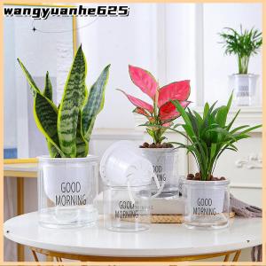 [WYH Store] 👗 Lazy Hydroponic Flower Pot Automatic Water-Absorbing Flowerpot Transparent Double Layer Plastic Self Watering Planter Office