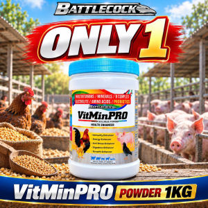 BATTLECOCK VitMinPro 1Kg Multivitamins Probiotics For Pig Poultry Growth And Immunity Booster