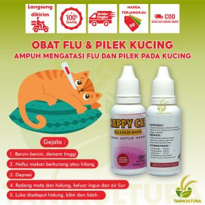 OBAT FLU PILEK DAN DEMAM PADA KUCING 30ML ANTIBIOTIK FLU DEMAM BATUK VITAMIN KITTEN