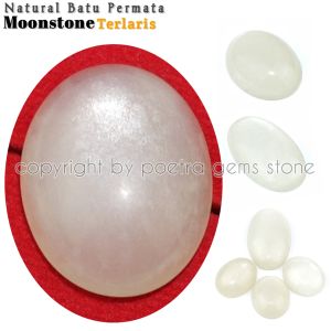 Natural Batu Permata Moonstone Biduri Bulan