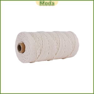 Moda Cotton Rope Colorful Rope Twisted Twine for Handmade Rope DIY Craft Gift Wrap 100m Length