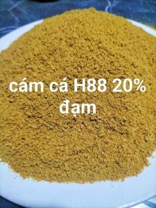 Cám thơm đặc biệt H88 (Đã xay) làm mồi câu cá công ty Hải Vương chuyên dùng câu cá chép trôi mè. HÀNG CHÍNH HÃNG