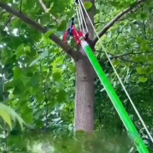 Kéo cắt cành cộng lực giật dây trên cao dây dài 3m