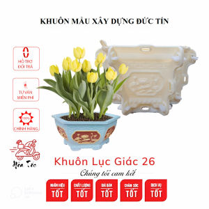 Khuôn đúc chậu cảnh lục giác bầu 26cm