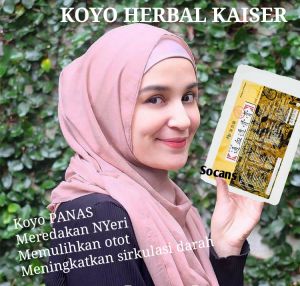 KAISER TUNG HSIEH TOUKU BALM - PANAS HOT - 10 lembar - Koyo Herbal Plaster Meredakan Sakit Otot Bahu Lutut Nyeri Punggung Bawah Bahu Sendi Leher