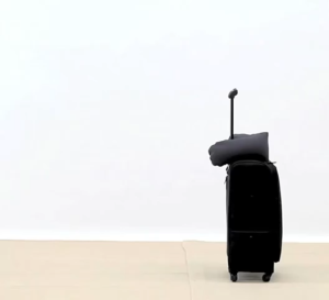 MUJI Travel Goods / Neck Cushion Curved Type