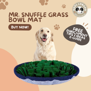 [SG] MR. SNUFFLE GRASS BOWL MAT FREE Training e-Guide Worth $7  Enrichment  SG Stock  Kopi Lobang