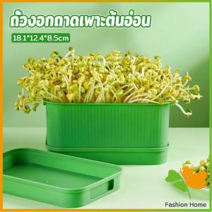 FASHION กล่องเพาะถั่วงอก ถาดเพาะต้นอ่อน  ไม่ต้องใช้ดิน นำกลับมาใช้ใหม่ได้ 1ชุด bean sprouts tray