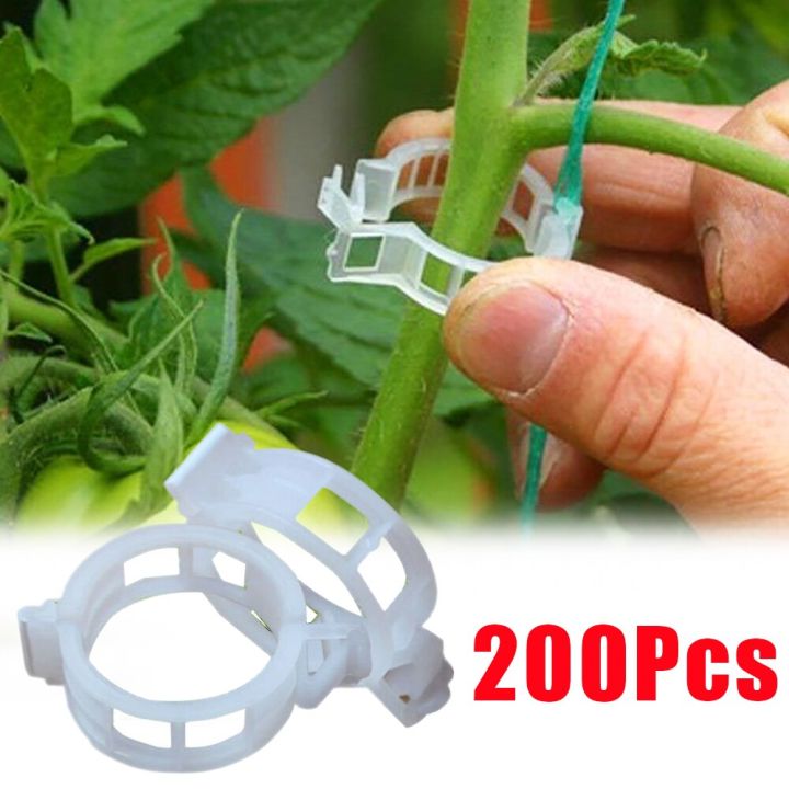 200/100/50 cái Nẹp đỡ cây bằng nhựa tái sử dụng cây dây leo hỗ trợ cố ...