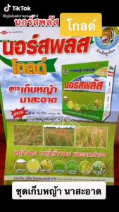 นอร์สพลัส สารกำจัดวัชพืชในนาข้าว ฉีดครั้งเดียวรอเกี่ยวได้เลย! 1 ชุดผสมน้ำได้ 200 ลิตร ฉีดได้ถึง 3 ไร่