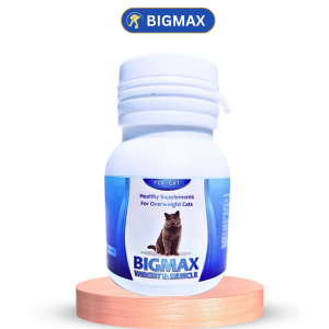 Vitamin Kucing Nafsu Makan Anti Bulu Rontok 60 Butir Jamur Penggemuk dan Imunitas Kucing Hamil Menyusui Kitten Vitamin Kucing Biar Gemuk Bulu Kucing Rontok Pelebat Bulu Kucing Vitamin Penggemuk Kucing Clever Solution Royal Care Kit Cat