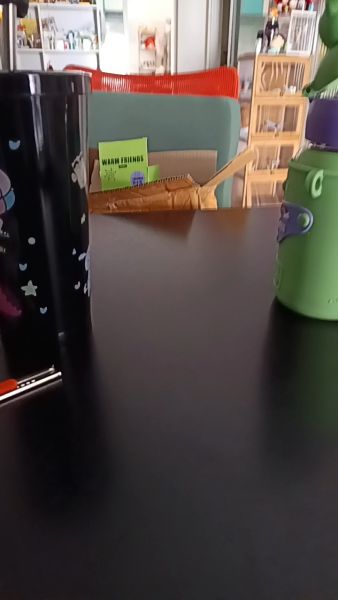 Buyer review video 2