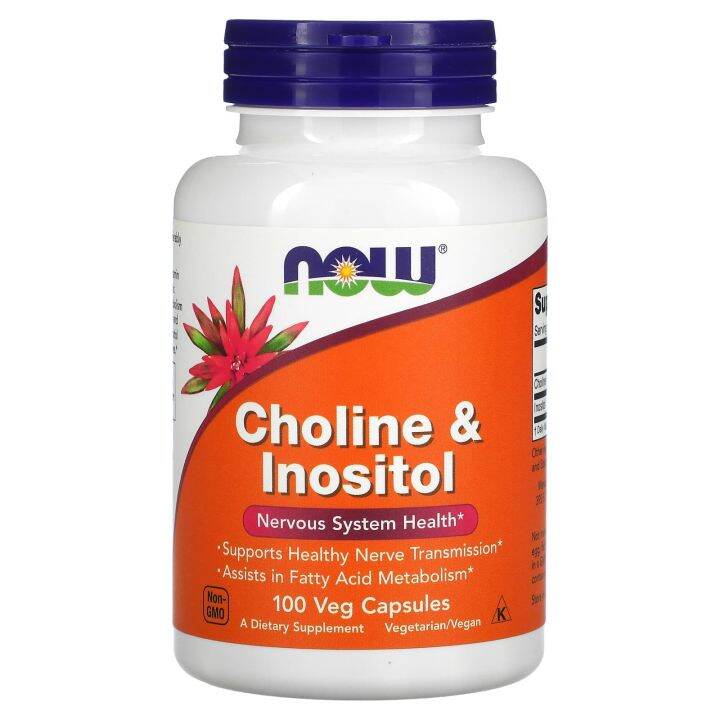 NOW Foods, Choline & Inositol, 100 Veg Capsules | Lazada PH