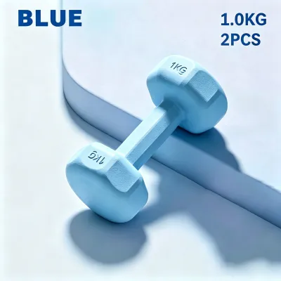 Womens Dumbbell Hexagonal Dumbell Gym Fitness Exercise Family Weight Training Exercise Dumbbells Set 1kg/1.5kg/2kg/3kg Training Workout Neoprene Dumbell 哑铃 健身哑铃