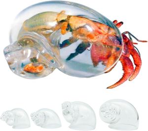 Large Hermit Crab Transparent Shells Size 2.0"- 3.0" Opening Size 0.8"- 1.6" Handmade Glass Conch Shellsfor Hermit Crab Supplies and Spiral Shell Art Beach Decoration (2pcs 1.3" and 1.6")