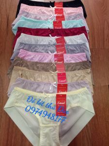 ♥️ Shop Uy Tín 020 ♥️combo 5 quần lót nữ trơn thun lạnh cao cấp BIKINI