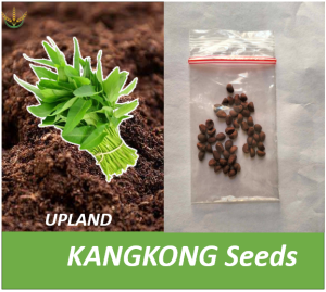 UPLAND KANGKONG Seeds-Oriental Green