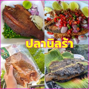 (พร้อมส่ง) นิลร้า ปลาร้าปลานิล ( 2 ตัว 450 กรัม) ปลานิล จำหน่ายแแบดิบ ยังไม่ได้ทอด ปลาร้าปลานิลป้าแอ๊ว เมืองลพบุรี ประสบการณ์มากกว่า 40 ปี