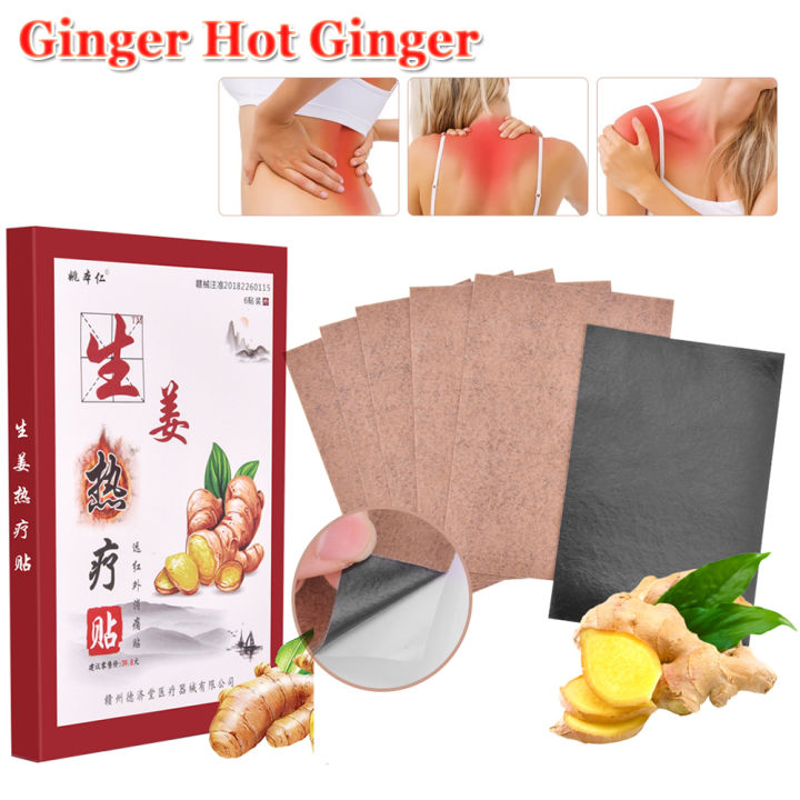 PASTSKY Ginger Patch Ginger Hot Ginger Patch Detox Foot Body Neck Knee ...