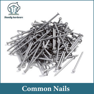 Common Nails Common Round Wire Nail 1-4 inch Pako Pangkahoy For Wood Connection