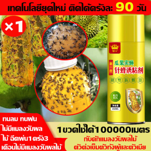 ฉีด1ครั้ง ล่อแมลงวันต่อเนื่อง6เดือน สารล่อแมลงวันทอง สเปรย์กาว อัพเกรดสูตรใหม่ สเปรย์ดักแมลงวันทอง สเปรย์กาวกำจัดแมลงวันทอง ติดแน่น หนีไม่พ้น สารล่อแมลงทอง ดึงดูดแมลงวันผลไม้ได้100% ไม่กลัวตากแดดหรือฝน ยาล่อแมลงวันทอง ยากำจัดแมลงวันทอง น้ำยาล่อแมลงวันทอง