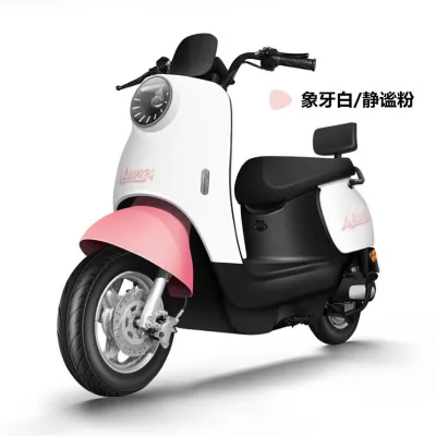 Electric Ebike EMotor Electric Bike Electric Motorcycle Scooter/Stepper Stepboard/2 Wheel/Rechargeable/Eco-Friendly/Long-Range/High-Speed/Off-Road/Powerful Performance/Durable/EZBike