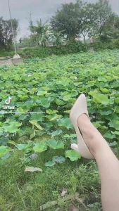 Giày cao gót 7p da mờ