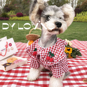 DY Loving Princess Dress for Dog Female Ruffle Red Grid Classic Embroidery Cherry Korean Summer Cool Dog Dress