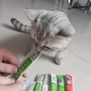 PE-379 ขนมเเมวเลีย 15g มีให้เลือก3รส/อาหารแมว เสริมสร้างแมว ขนมแมวเลีย ราคาถูก พร้อมส่ง