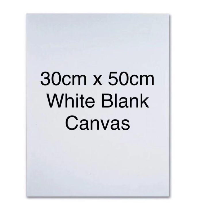 White Blank Canvas 30cm x 50cm Art Board Wooden Frame For Art