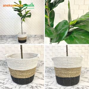 Tanaman Artificial Pohon Imitasi Ketapang X2 T120 Pot Dasar Cover Anyaman Seagrass Handle Dekorasi Rumah