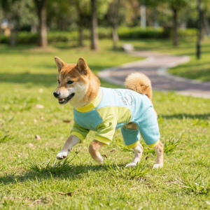 TEWUB Comfortable Dog Four Legged Clothing Cartoon Bear Pattern with D Ring Dog Anti Shedding Jumpsuit Fashion Soft Dog Pajamas For Dogs Puppy