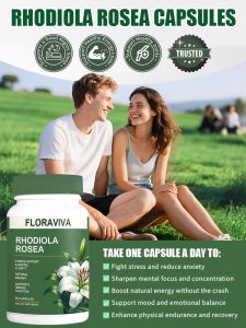 Rhodiola Plant Extract Capsules / Cognitive Function Energy Boost / Daily Life Adults Supplement