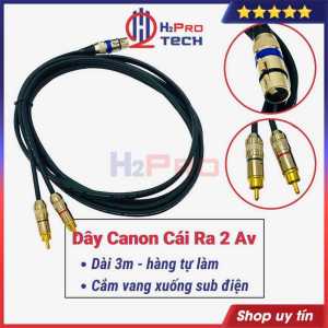 Dây Canon Cái Ra 2 Đầu Av Bông Sen Dài 3M Cắm Vang Xuống Sub Điện Hàng Tự Làm Lõi Đồng Dày Đầu Mạ Vàng - H2Pro Tech
