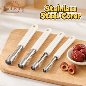 ChicLiving Fruit Corer Set 4 Pieces Stainless Steel Red Date Pitter Jujube Seed Remover Kitchen Tool