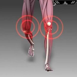 Propolis Joint Cream Ankle Neck Ankle Care Gel Shoulder Knee Care Gel Bee Venom Joint Ointment