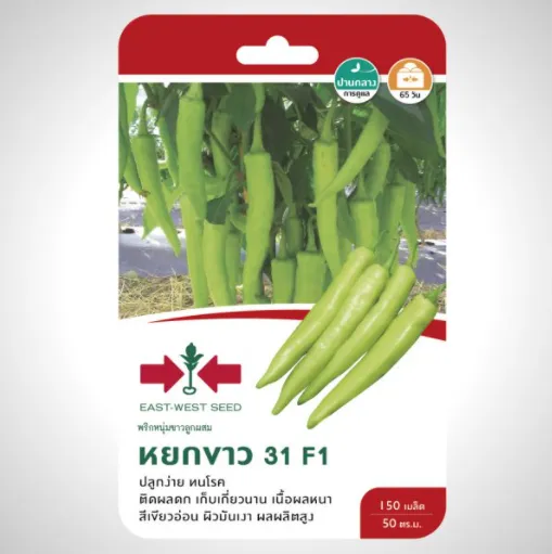 เมล็ดพันธุ์พริกหนุ่มขาว หยกขาว31 สำหรับปลูกในสวนครัว