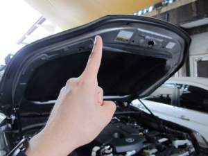 HOOD LINING UNIVERSAL RUBBER V2