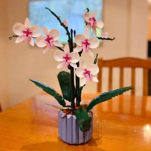 Compatible  Eternal Flower Orchid Teachers Day Bouquet Building Blocks Home Toy Decoration Ornament Wholesale