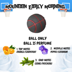 Universal basketball Backboard Series Car Universal Aromatherapy Omaments Classic And Fun Design Perfume