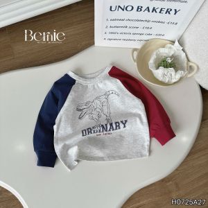 Áo thun áo phông cho bé trai tay dài raplang họa tiết ô tô size 9kg đến 28kg BERNIE KIDS H0725A27