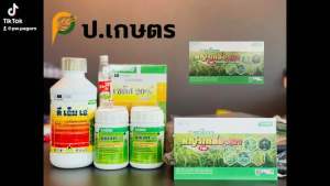 ชุดยาหญ้าเกลี้ยงนาซาโกร : ฉีดเก็บหญ้าใบแคบ+ใบกว้างในนาข้าวอายุ15-30วัน