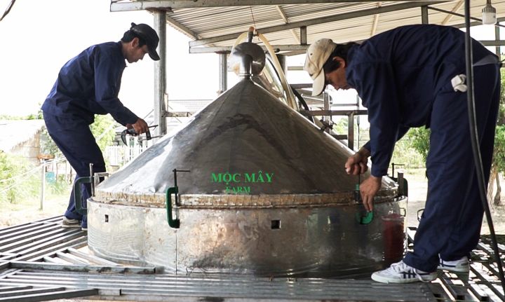 Tinh dầu sả chanh Mộc Mây - tinh dầu nguyên chất từ thiên nhiên - xông phòng, thơm phòng, thư giản, đuổi muỗi