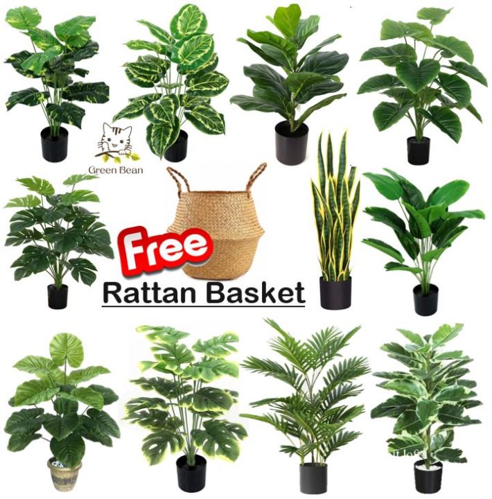 [SG SELLER] Artificial Plant Fake Plant Fake Tree Flower Home Office